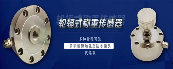 轮辐式称重传感器